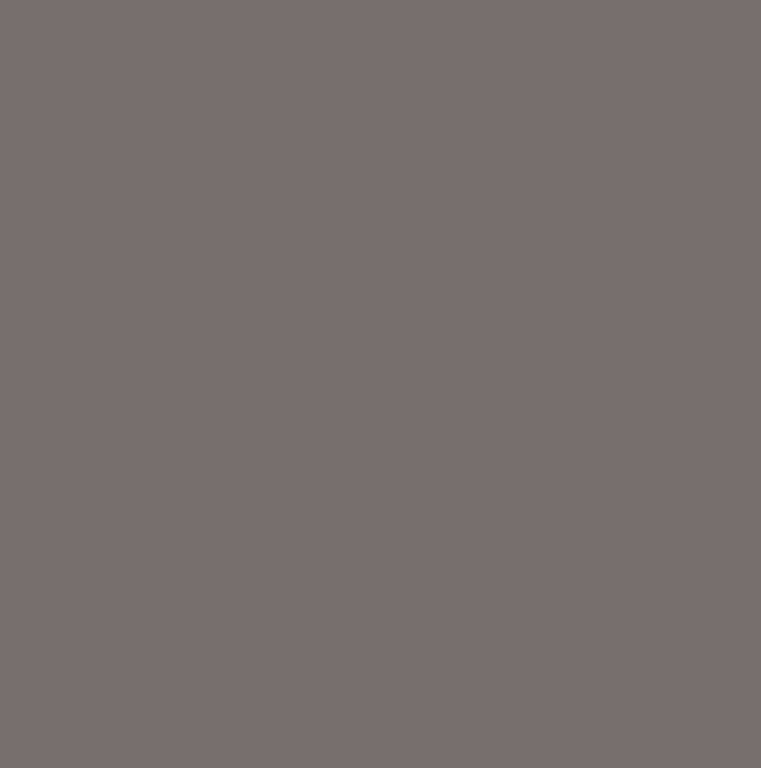 CG10 DARK GREY GLOSS SENOPLAST LR