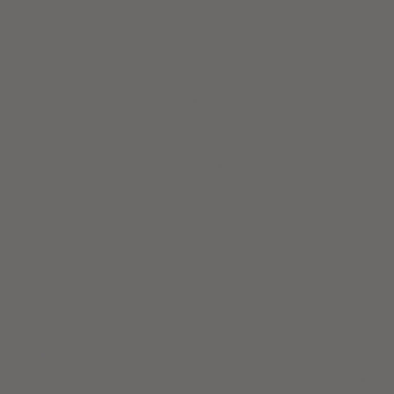 ONXY GREY LR